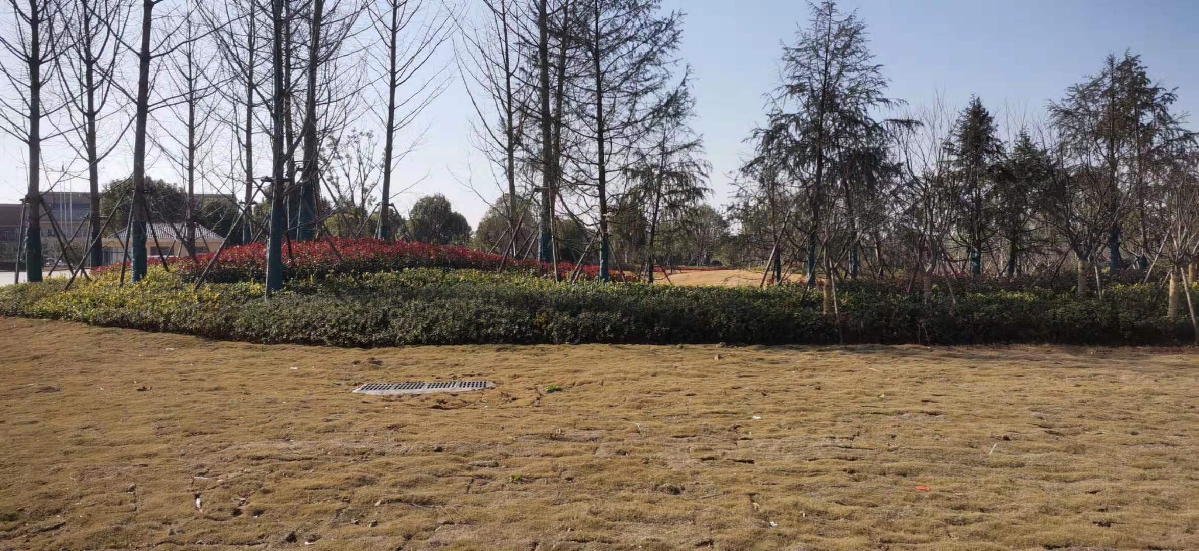 4.���ǻ�ͨ4.jpg