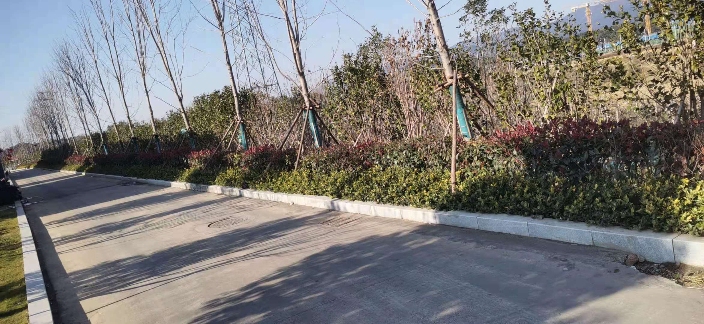 5.�������̻�1.jpg