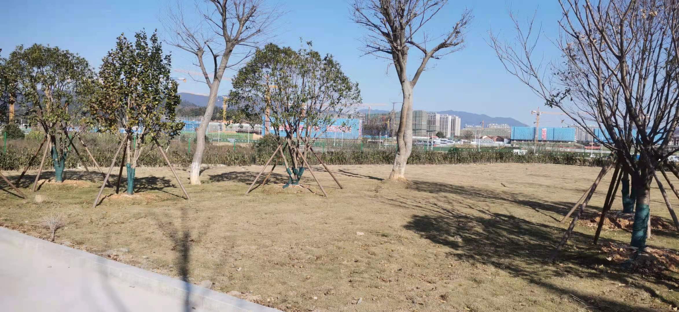 5.�������̻�2.jpg