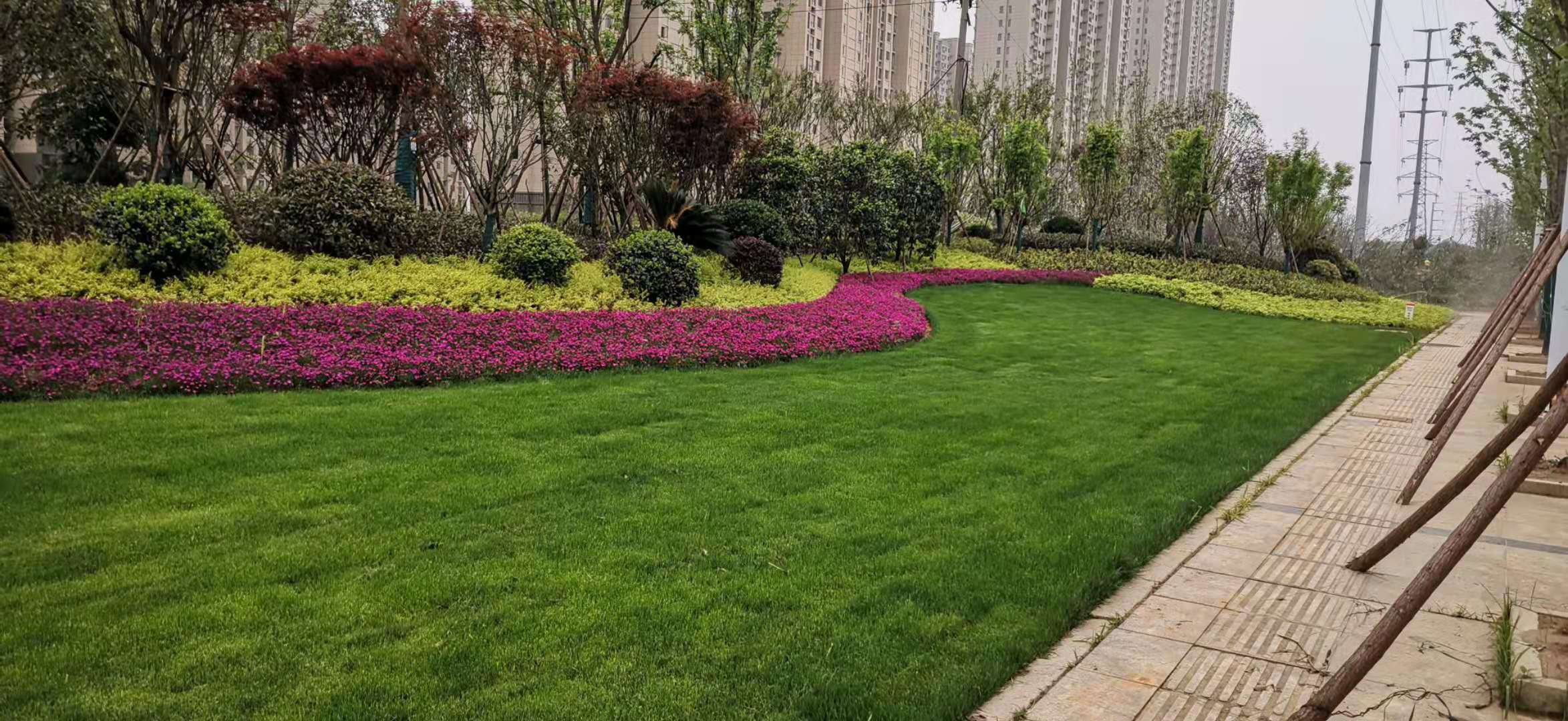 ΢��ͼƬ_20210430111131.jpg